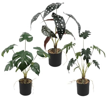 YOYUMI Kunstpflanze 3 Töpfe Mit Simulierten Grünpflanzen Topfpflanze Mit Schildkrötenblatt Begonie Fensterdekoration Ornamente Bonsai