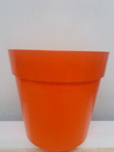 Blim Iris Blumen Topf, orange, 35 cm