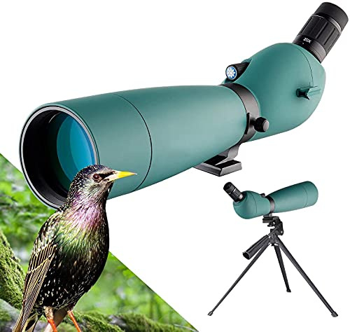 Teleskop-Spektiv 60 x 80, wasserdichtes Vogelbeobachtungs-Monokular HD mit Telefonadapter + Stativ für Bogenschießen, Safari-Sightseeing, Sternenbeobachtung