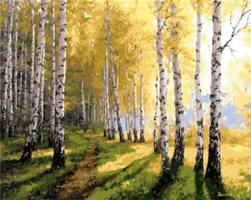 Yoonqun Malen Nach Zahlen Erwachsene,Wald-Szenerie DIY Ölgemälde auf Leinwand Erwachsene Kinder Ölgemälde Kit mit Pinseln und Acrylfarbe für Home Décor (mit Rahmen) 40x50cm