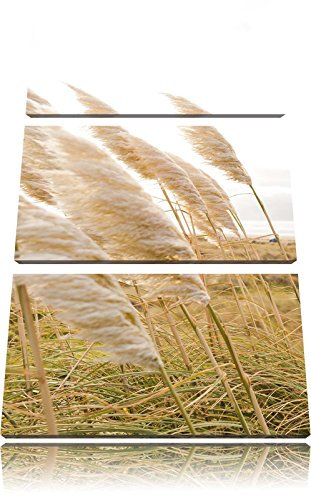 Pixxprint Schönes Schilf in den Dünen, Leinwandbild 3 Teilig, Gesamtmaß: 120x80cm, Wandbild, Dekoration, fertig gespannt, Kein Poster