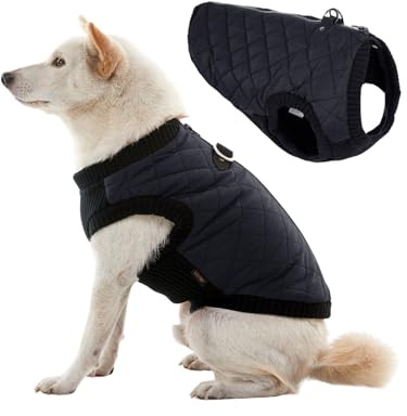 Gooby Fashion Vest Dog Jacket - Black, Large - Warm Zip Up Dog Bomber Vest with Dual D Ring Leash Water Resistant for Small to Medium Dogs