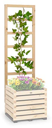 blumfeldt Modu Grow - UP Traliccio per Piante Rampicanti, Supporto per Piante Rampicanti, Legno di Abete Oliato Prodotto in Europa, Abete, 151x50x3 cm (AxLxP)