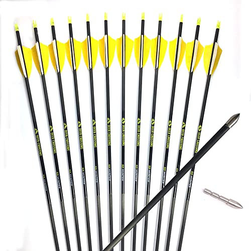 ACCMOS 31 Reinem Kohlenstoff Pfeil Spine 350 400 500 600 700 800 900 1000 ID 4,2 mm mit 2,5 Truthahnfeder Jagdpfeile für Recurvebogen Compoundbogen Bogensport 6/12 Stück (12pcs, Spine 400)