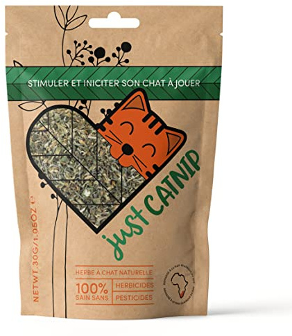 Just Catnip Katzenminze, organisch, angebaut in Südafrika, Spielzeug & Leckerli für Katzen, nachhaltig und ethisch angebaut (Katzenminze (30 g)