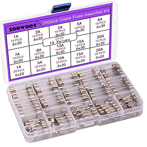 Sicherungen 250 STK. Quick Blow Glass Fuse Assorted Kit 250 V 1 A, 2 A, 3 A, 5 A, 6 A, 7 A, 8 A, 10 A, 6 x 30, 5 x 20 mm Tube Fast-Blow Glassicherungsbox Ersatzsicherung (Color : 250pcs)