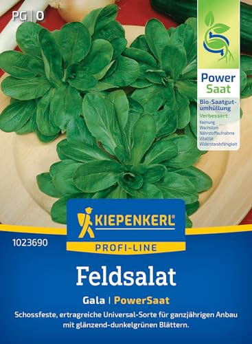 Kiepenkerl Profi-Line Feldsalatsamen Gala 1023690 - Schossfeste, ertragreiche Universal- Sorte für ganzjährigen Anbau - Salatsamen, Saatgut, Schnittsalat