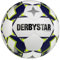 Derbystar Brillant APS