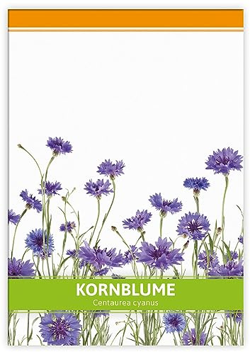 FLORTUS Kornblumen Samen für Gastgeschenke | Blumensamen als Dankeschön Geschenke, Mitgebsel & Werbegeschenke | Wildblumensamen