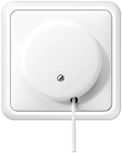 Jung Zugschalter 5506ZUWW, 250 V