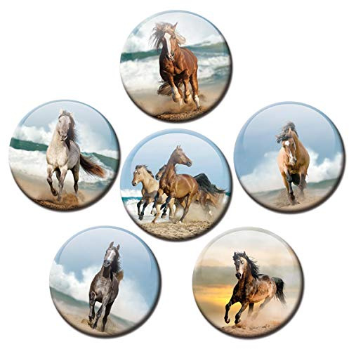 Kühlschrankmagnete Pferde Meer 6er Pferdemotiv Deko Geschenk Set Magnete Tiere lustig für Kinder Pferdeliebhaber stark groß 50mm rund