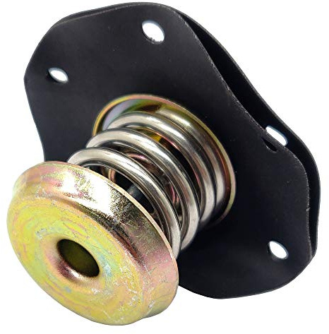 TPi Fuel Pressure Regulator Diaphragm for 1985-1995 Chevy Corvette Camaro Cavalier Celebrity Pontiac Firebird Buick Cadillac Oldsmobile 17110851 17112281 SKPR10