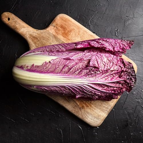 semillas de Pak Choi, semillas de col china orgánicas, de jardín de rocas resistentes cubierta vegetal 100pcs
