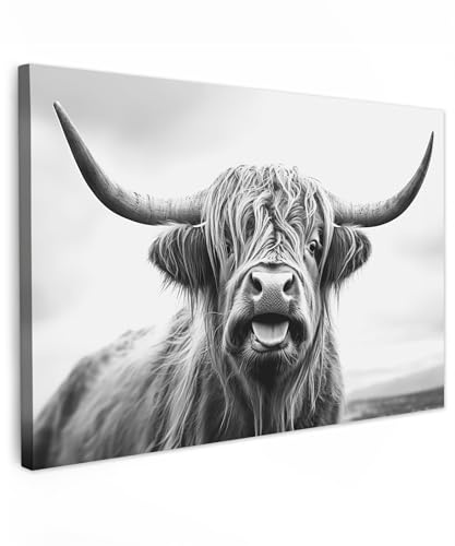 MuchoWow© Bild auf Leinwand Schlafzimmer Bilder Wand Deko Wohnzimmer Modern | 90x60 cm - Wanddeko Bilderwand Geschenk Schottisches Hochlandrind - Kuh - Schwarz und weiß - Hörner - Fell - Zunge