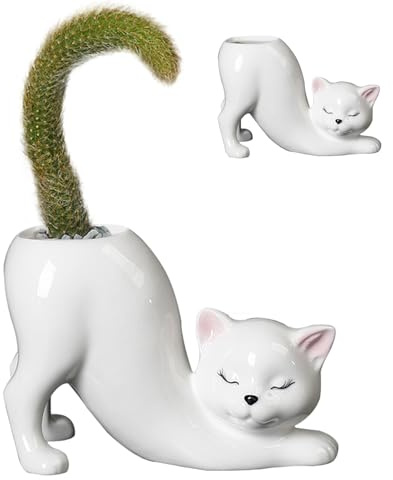 Macetas Suculentas, Macetas de Interior, Macetas para Plantas de Jardineras para Gatos, Lindas Jardineras para Gatos, Jardineras para Gatos para Plantas Interiores Exteriores, Suculentas