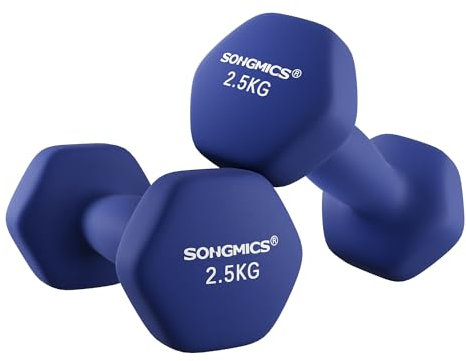 SONGMICS 2er-Set Hanteln, 2 x 2,5 kg rutschfeste Gymnastikhantel mit matter Beschichtung aus Neopren, Krafttraining, zu Hause, Fitnessstudio blau SYL65BU