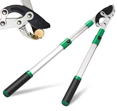 SK5 High-Performance Compound Action Anvil Lopper,Chops Thick Branches with Ease,2 Inch Cutting Capacity,28inch-40inch Telescoping Lopper, Tree Trimmer with Sturdy&Comfortable handle(A）