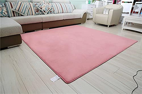 Alfombra de Terciopelo Coral Grueso de Color sólido Calidad Flor rosa Suave Lavable Antideslizante Grande Rugs Rug Minimalista Moderna Sala De Estar Dormitorio Tatami Gateando Estera -120×140cm