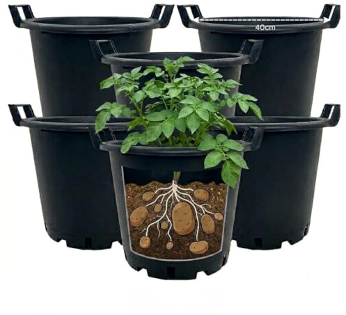 Oakland Gardens Heavy Duty 30L Plant Pots Potato Containers With Handles, 40cm Diameter, Buckets Plastic Planters - Large Planter Pots for Gardens - Flowers, Vegetables & Trees (Pack of 6)