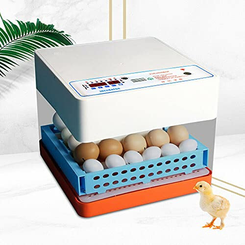 Brutautomat, 50W Vollautomatische Brutmaschine 24 Eier Brutapparat Flächenbrüter Brüter mit Automatischer Flip Inkubator für Ausbrüten von Hühnern