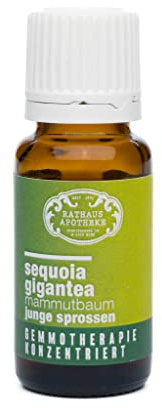 Konzentrierter Knospenextrakt – Gemmotherapie – Sequoia gigantea, Knospe – [DIE KRAFT DES MAMMUTBAUMS] – natürliche Unterstützung für Aufbau, Stabilität & innere Kraft – 15 ml