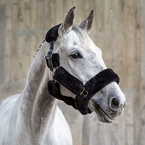 Sunride Fellhalfter für Pferde (Dover) mit Strick - aus Echtleder - verstellbar (Pony, schwarz)