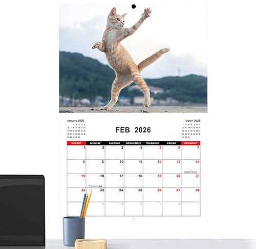 GkgWuxf Katzenkalender 2026 | Monatsplaner Mit Monatsübersicht,Lustige Katzen Motive Planer Zeitorganizer Für Zuhause Schule Büro