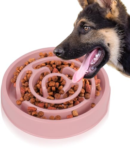Slow Feeder Dog Bowl, Slow Feeding Dog Bowl, Pet Slow Down Eating Bowl Anti-Choking, Healthy Eating Bowl for Dogs Cats (Pink)