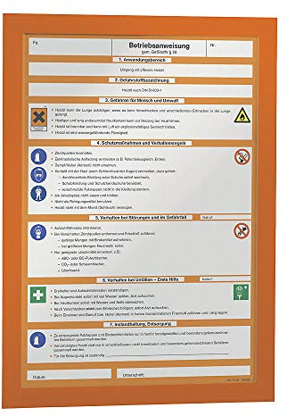 Durable Magnetrahmen - selbstklebend - für DIN A4, Rahmen orange, VE 10 Stk - Beschriftungstasche Dokumentenhalter, Klarsichttafel Dokumententasche Fototasche Fototaschen Informationsrahmen Klarsichttafel Magnetische Fototasche Magnettasche Selbstklebende