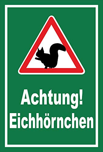 Melis-Folienwerkstatt Schild Achtung - Eichhörnchen Straße – 30x20 cm – 3mm Aluverbund – Bohrlöcher – mehrere Größen/Materialien