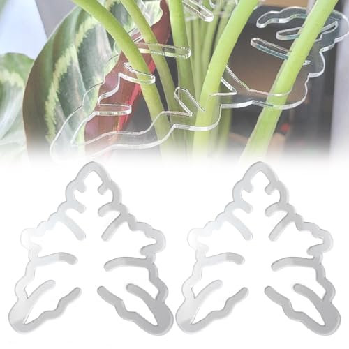 QEOTOH Monstera Grapple, Monstera Plant Support, Monstera Plant Grapple, Fixing Clips Plant Stakes for Indoor And Outdoor Plants, Keeps Plants Tame & Growing Vertical (2PCS,Shape-B)