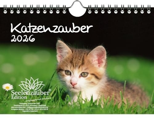 Kattmagi DIN A5-kalender för 2026 katter och kattbebisar – själsmagi