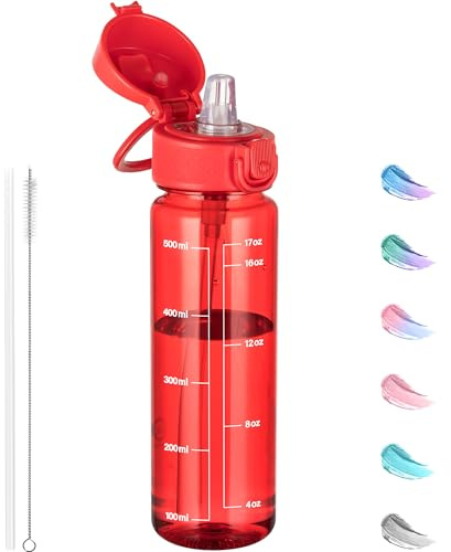 GOPPUS Borraccia trasparente in Tritan da 500 ml, con cannuccia, trasparente, per bambini, con maniglia per il trasporto, con coperchio a ribalta, a prova di perdite, per adulti, senza BPA