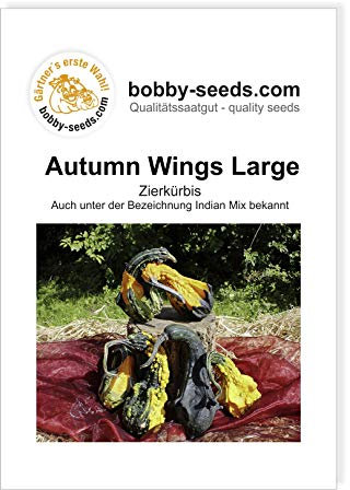 Autumn Wing L Zierkürbis von Bobby-Seeds Portion