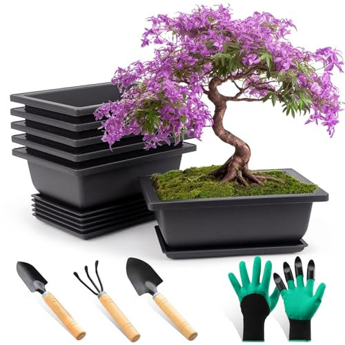 FSWWSF 6 Stück Bonsai Schale mit Untersetzer, Bonsai Topf, Kunststoff Tief Blumentopf, für Garten Pflanzen Hof Wohnen Zimmer Balkon Büro