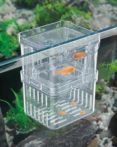 Pawfly Aquarium Fischzuchtbox Transparente Plastikzuchtbox für Fischbecken Brutkasten Brutkasten für Babyfische Garnelen Kleine Isolationsbox für Aggressive Fische Guppy