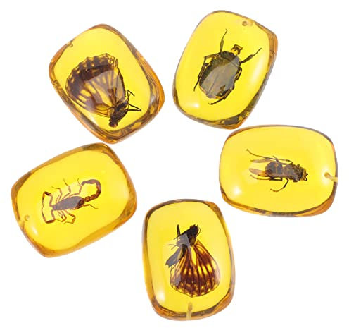 Gatuida 5stücke Bernstein Anhänger Für Halsketten Exemplaranhänger Aus Kunstharz Diy Insekten Anhänger Für Schmuckzubehör Halsketten Und Armbandteile