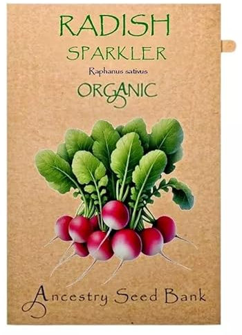 Organic Radish ❁ Sparkler ❁ x100 Seeds Heirloom - Non GMO