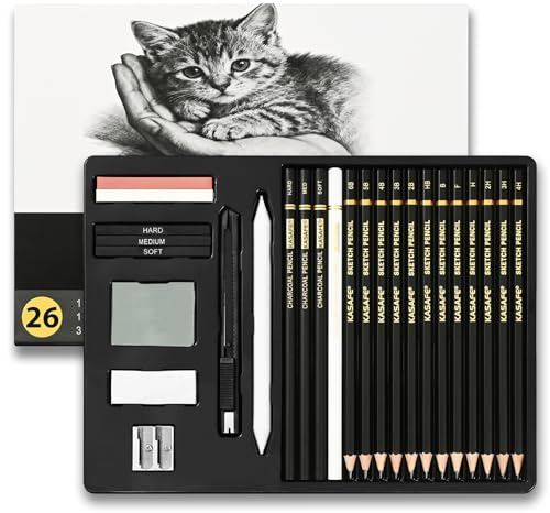 KASAFE Set di 26 Matite Professionali per Disegno e Schizzo – Grafite (6B-4H), Carbone, Gomme, Affilacrayons – Dai Principianti ai Professionisti, Tutte le Età