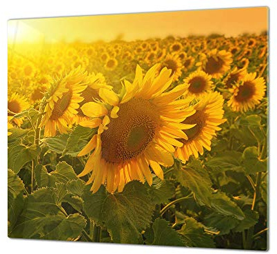 Tempered Glass Kitchen Board – Induction Cooktop Cover - Glass Cutting Board; Measures: Single: 60 x 52 cm (23,62” x 20,47”); Double: 30 x 52 cm (11,81” x 20,47”); D06A