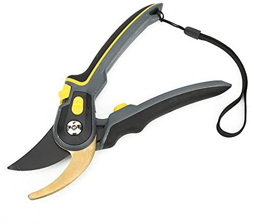 MasYosh Tijeras de Podar, Tijeras de Jardinería Profesionales SK5 de Acero Inoxidable con Ergonómico y Cierre de Bloqueo, para Podar árboles, Arbustos, Flores, Plantas en Macetas (Oro)