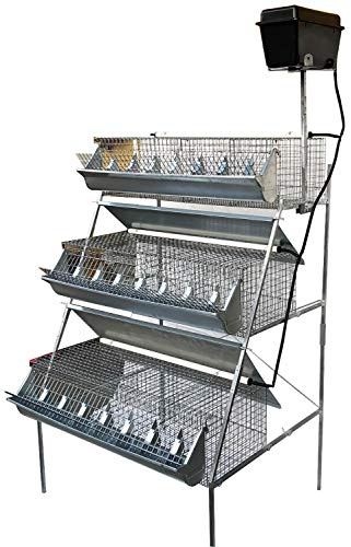 Gabbia B3-100 Plus 3 Piani a Piramide per Ingrasso Conigli. Conigliera con 12 celle. Cm L 105 x P 95 x H 160