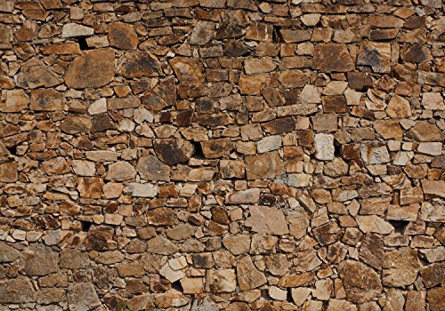 wandmotiv24 Fototapete Robuste alte Mauer, 200 x 140cm - selbstklebende Strukturtapete, Wanddeko, Wandbild, Wandtapete, Steine M1052
