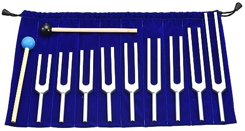 QUARKZMAN Stimmgabel Set 9Stk Stimmgabel Aluminium Legierung für Instrumente Peozess Yoga Klangtest Stimmgabel Werkzeug Set Silber mit Gummi Schlägel und Tasche