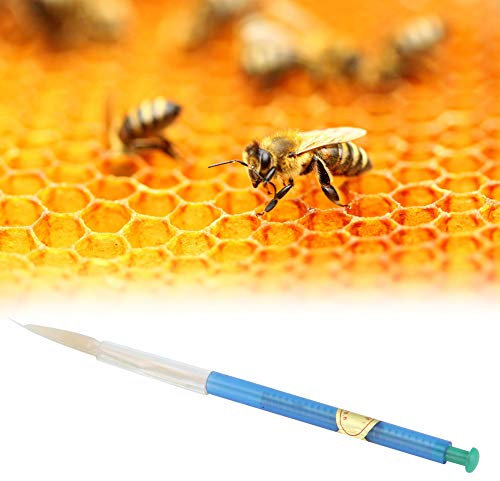 4PCS Precision Pinzern Set, Horn -CT -Entfernungstools - Geben Sie Größe und Verpackung mit Dem Kundendienst an