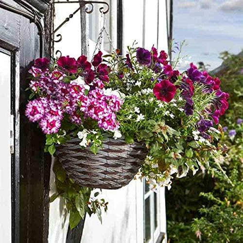 Garden Mile Hanging Flower Basket 1Rattan Effect Plant Holder Outdoor Plant Pot Planter with Hanging Chain Round Wicker Flower Pot Basket Pre-Lined for Easy Planting (14 Pinto Basket, 4)