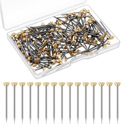 TIESOME 150 Stück Kleine Nägel Wand, Bildernägel 25mm, Rostfreie Stahlnägel mit Box für Betonwände Betonnägel Bilderrahmen Nagel Holzarbeiten Ziegelstein Aufhängen Holznägel Wandnägel für Bilder