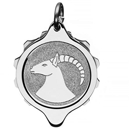 SOS Talisman Anhänger Edelstahl, Sternzeichen Steinbock, Notfallkapsel für wichtige medizinische Informationen