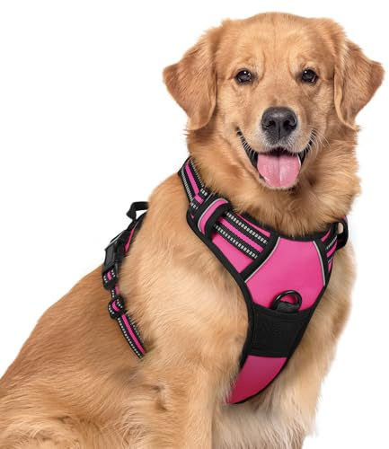 rabbitgoo Hundsele stor hund inget drag husdjurssele med 2 koppelklämmor, justerbar mjuk vadderad husdjursväst, reflekterande icke-choke med enkelt kontrollhandtag för träning eller promenader