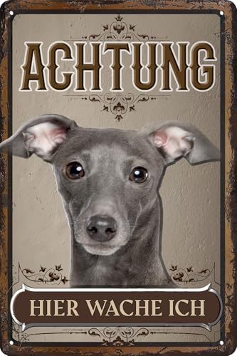 30 x 20 cm wetterfestes Blechschild, Warnhinweis, Torschild, Achtung, hier Wache ich! Warnung vor dem Hund (Windhund Grau Welpe)